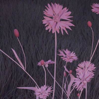 万博·ManBetX手机下载手机版