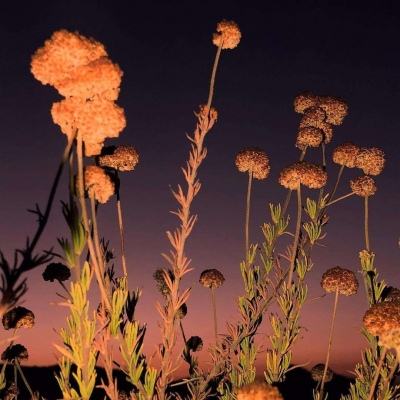 BSport·APP在线登录